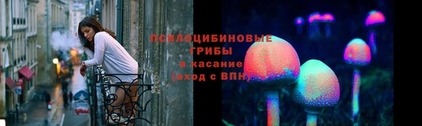 марки nbome Вяземский