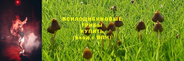 apvp Вязники