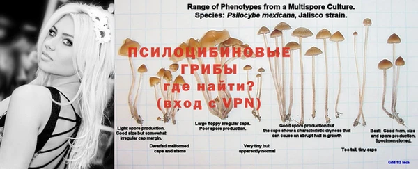 хмурый Вязьма