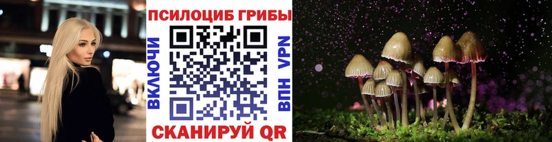 Псилоцибиновые грибы Magic Shrooms  закладки  Подольск 